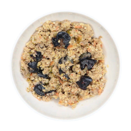 An image of The Nojo's Dog lean beef recipe in a bowl. You can see the vibrant color of the cooked carrots, peas, quinoa, blueberries and beef.