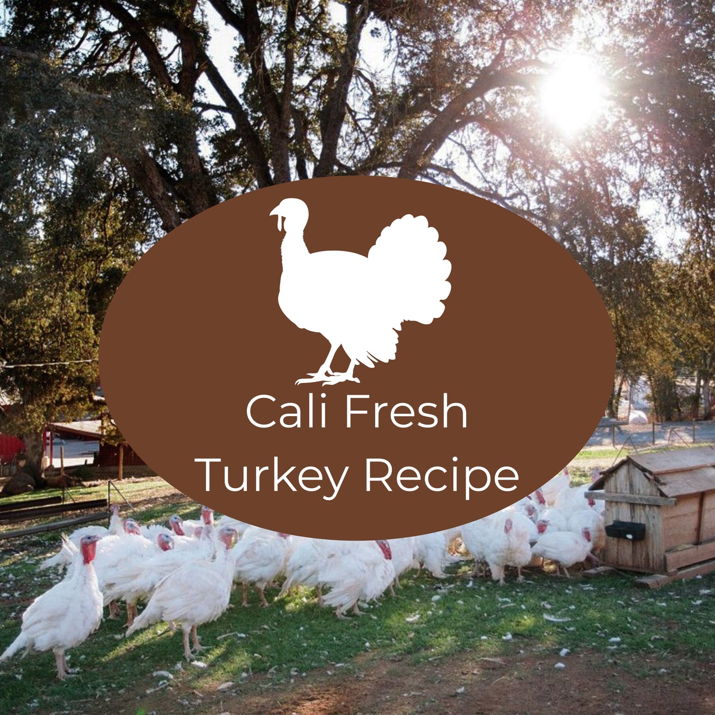Lean Turkey Breast Recipe | Cali-Fresh